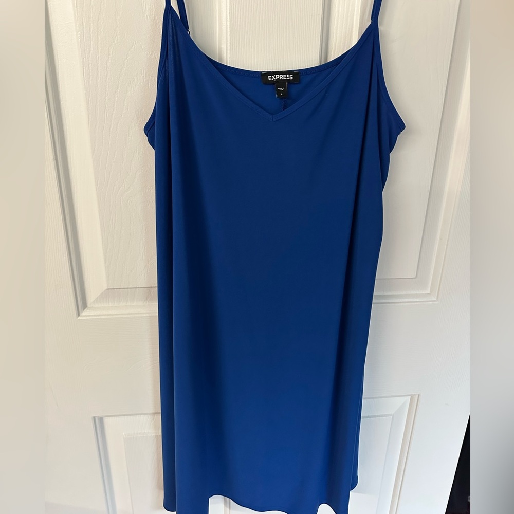 Express Cobalt Blue dress
